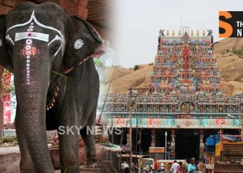 கொல்லப் பார்க்கிறார்களா கோவில் யானைகளை…?
