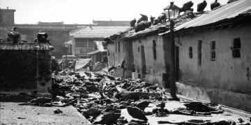 5 நாள் ஊர்வலத்தில் ஐம்பதனாயிரம் இந்துக்கள் கொல்லப்பட்டார்கள்… எப்படி?யார் காரணம்?