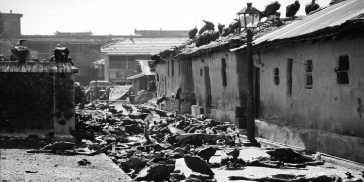 5 நாள் ஊர்வலத்தில் ஐம்பதனாயிரம் இந்துக்கள் கொல்லப்பட்டார்கள்… எப்படி?யார் காரணம்?