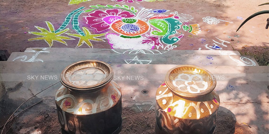 தைதிருநாள் நாளை மாலை பிறக்கிறது: எப்போது பொங்கல் வைக்க வேண்டும்?